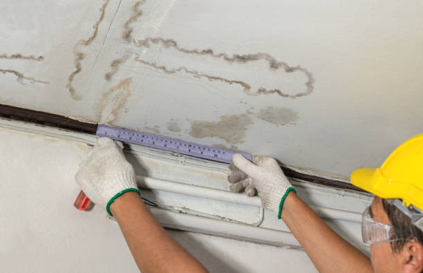 Reliable Mold Remediation contractor in Spanaway, WA by Water Damage Irwin